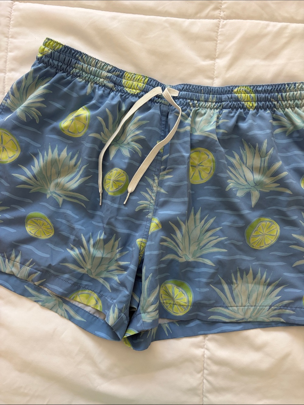 chubbies Blue Pineapple & Lime Swim Hybrids